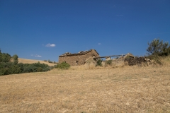 IMG_4363