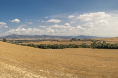IMG_4372-Pano