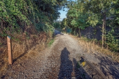 IMG_3850-Jaca camino monte pano