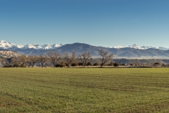 IMG_7471-Pano
