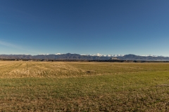 IMG_7481-Pano