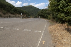 IMG_4248 - Carretera de Arrés