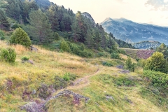 IMG_3610-HDR
